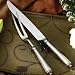 Ricci Argentieri Rialto Carving Set 2-pc.