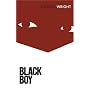 Black Boy: A Record of Youth and Childhood (Vintage classics)