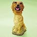 Golden Retriever Dog Bobble Head