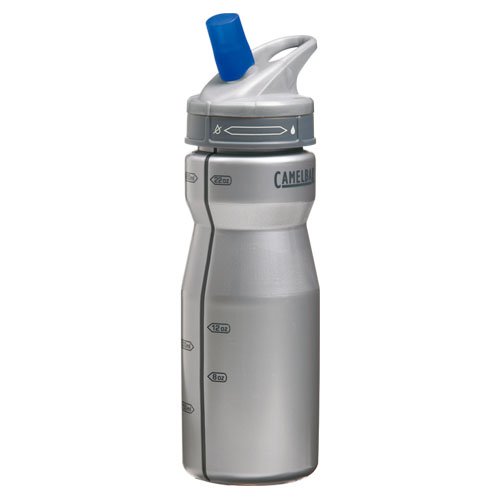 CAMELBAK(キャメルバック) 水筒 パフォーマンスボトル 0.65リットル シルバー （SV） 1821606