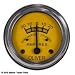 AMMETER GAUGE
