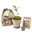 memory tree kit