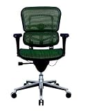 Ergohuman Mid-Back mesh chair ME8ERGLO by Raynor - Many Mesh Colors!