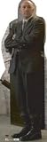Lex Luthor Lifesize Cardboard Standup
