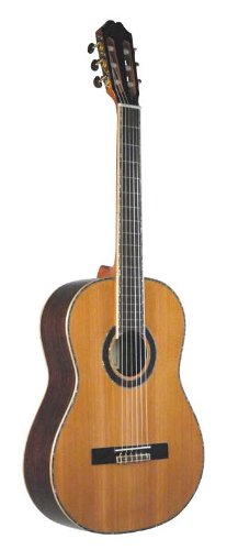 Antonio Hermosa AH-20 Classical Guitar RosewoodAbalone