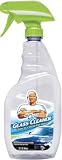 Mr Clean Glass Cleaner 24 oz
