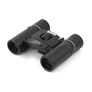 Bushnell Powerview 8x21 Compact Folding Binoculars New