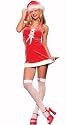 Miss Santa Sexy Costume - Medium/Large, Dress Size 6-10 M/L