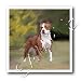 Dogs Pitbull - American Pit Bull Terrier - Iron on Heat Transfers