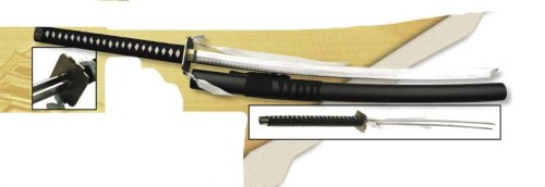 Double Blades Sword