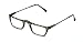 "Caracol Gold" Hand Painted Reading Glasses (+1.00 - +2.50)