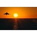 Professionally Framed AV-8B Harrier (Take Off in Sunset) Art Poster Print - 11x17 with RichAndFramous Black Wood Frame
