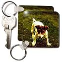 Dogs Jack Russell Terrier - Jack Russell Terrier - Key Chains