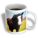 Jos Fauxtographee Realistic - A Beautiful Black and White Horse Standing on a Green Field of Grass Close Up with White on Face - Mugs