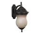 Kenroy Home 80541GBRZ Repartee One-Light Medium Wall Lantern with 8-Inch French Scavo Glass Shade