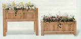 All Maine Bucket D001 36 Inch Cedar Planter - B0015VSKRI