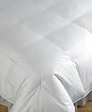 Lauren Ralph Lauren "Studio" Comforter, King