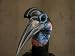 Abyssian Ground Hornbill at the Zoo Animals Photographic Poster Print by Joel Sartore...