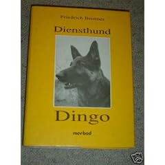 Diensthund Dingo