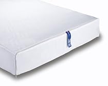 CleanRest Allergen Barrier Twin Box Spring Cover