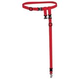 The Buddy System - Hands Free Leash - Small Dog System Black
