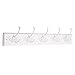 Liberty 129850 27-Inch Hook Rail/Coat Rack with 5 Flared Top Hooks, White and White