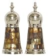 Decorative Salt and Pepper Shakers with Mother of Pearl Sides