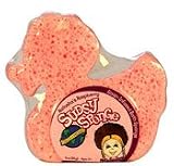 Circle of Friends Natashas Raspberry Sudsy Sponge, 3 oz