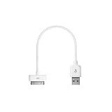 RadTech ProCable Shortz 20cm Charge/Sync Cable for all iPods and iPhones White