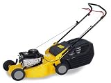 Review Ironside  / Irnside 500033 Pet.Rotary Mow 3.5Hp B&S 48cm