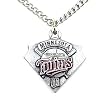 Minnesota Twins Chain Necklace & Enameled Pewter Pendant - MLB Baseball Fan Shop Sports Team Merchandise