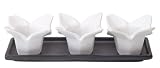 Boston Warehouse New East Origami Condiment Serving Set, Set of 4