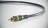 Mediabridge - Digital Audio Coaxial Cable - 6ft