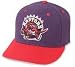 Search : Toronto Raptors Fitted Cap by New Era