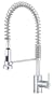 Danze D457158 Parma Single-Handle Pre-Rinse Faucet, Chrome