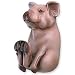 Pig Decorative Coat Hook