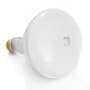 20,000 Hour 120-Watt Indoor Flood Light Bulb (ULA-26)