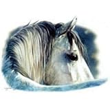 Youth T-Shirt : Kindness In His Eye - Gray Warmblood Horse