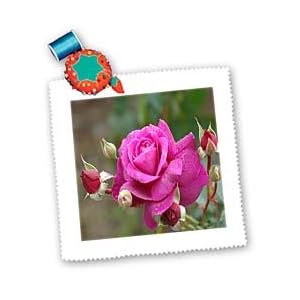 Flowers-Pink-Rose-Quilt-Squares