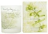 The Thymes Eucalyptus Aromatic Candle - 5.3 oz.