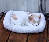 Realistic Breathing Stuffed animal Chihuahua Tan and White