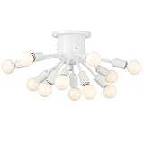 TERUS �V�[�����O���C�g