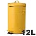 �ی^ �J���[ �_�X�g�r�� 12L �C�G���[ �y�S�~���z