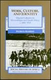 Work, Culture, and Identity: Migrant Laborers in Mozambique and South Africa, c. 1860-1910 (Social History of Africa Series)