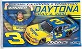 #3 Dale Jr 2010 Daytona Winner 3x5 Flag