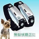 ���u���[�����E�v�`�@�s���N