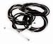 Sporting Goods : Bell Basic Bicycle Tune-up Kit