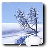 VWPics National Parks - Tree casts a long shadow in the snow.Yellowstone National Park, Wyoming - Mouse Pads