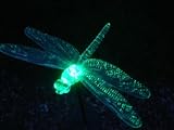2 X SOLAR Dragonfly Decorative Outdoor Garden Light - Colour Changing
