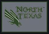 North Texas Mean Green 4 &acute; x 6 &acute; Team Door Mat - B0001H0K7K